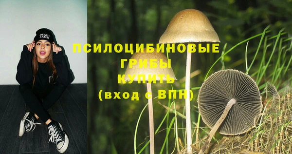 винт Майский