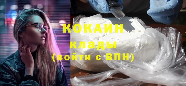 шишки Беломорск
