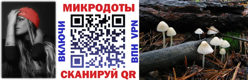 Галлюциногенные грибы Psilocybine cubensis  Бокситогорск 